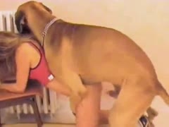 [ Dog Penis in Woman ] Funny green-haired Polish teacher bonks with her dog on camera